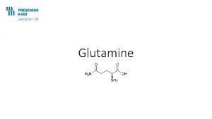 Glutamine Objectives Discuss glutamine Discuss its role in