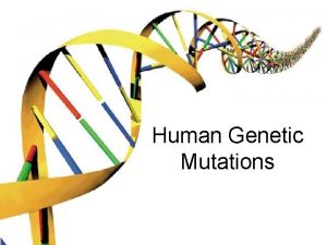 Human Genetic Mutations Gene Mutations Small scale one