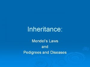 Inheritance Mendels Laws and Pedigrees and Diseases Mendels