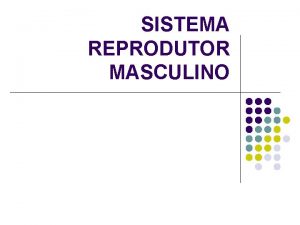 SISTEMA REPRODUTOR MASCULINO HORMNIOS MASCULINOS HIPOTLAMO Fatores liberadores