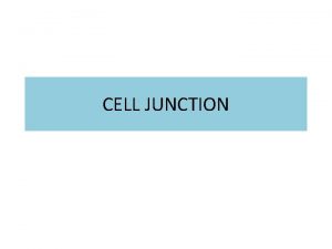 CELL JUNCTION CELL JUNCTIONS In certain tissues the