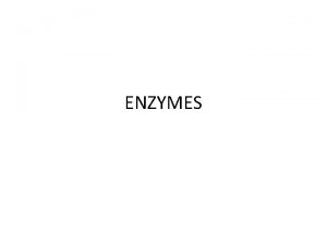 ENZYMES Enzymes Enzymes are molecules that act as