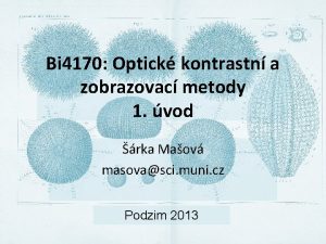 Bi 4170 Optick kontrastn a zobrazovac metody 1