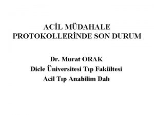 Prof dr murat orak