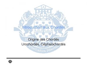 Introduction aux Chords Origine des Chords Urochords Cphalochords