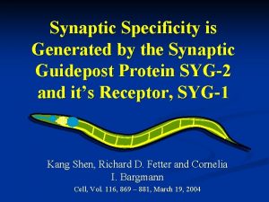 Synaptic Specificity is Generated by the Synaptic Guidepost