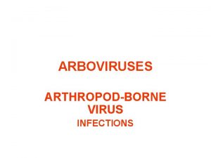 ARBOVIRUSES ARTHROPODBORNE VIRUS INFECTIONS ARBOVIRUSES VIRUSVIRUS YANG DITULARKAN