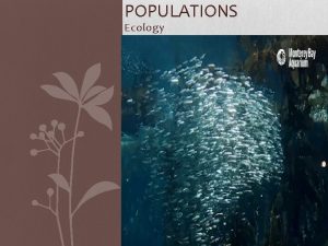 POPULATIONS Ecology How Populations Grow CHARACTERISTICS OF POPULATIONS