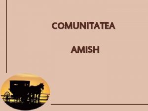 Comunitatea amish