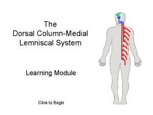 The Dorsal ColumnMedial Lemniscal System Learning Module Click