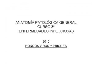 ANATOMA PATOLGICA GENERAL CURSO 3 ENFERMEDADES INFECCIOSAS 2010