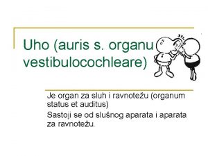 Uho auris s organum vestibulocochleare Je organ za