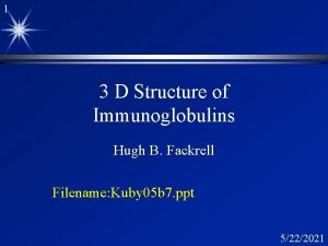 1 3 D Structure of Immunoglobulins Hugh B