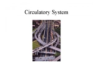 Circulatory system function