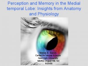 Perception and Memory in the Medial temporal Lobe