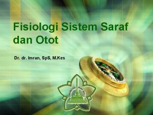 Fisiologi Sistem Saraf dan Otot Dr dr Imran