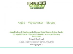 Algae Wastewater Biogas Algae Bio Gas Establishment of