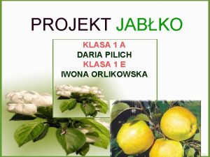 PROJEKT JABKO KLASA 1 A DARIA PILICH KLASA