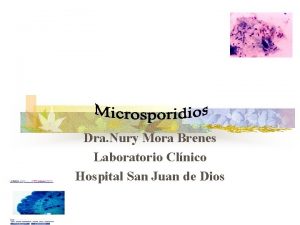 Dra Nury Mora Brenes Laboratorio Clnico Hospital San