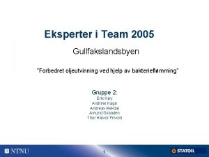 Eksperter i Team 2005 Gullfakslandsbyen Forbedret oljeutvinning ved