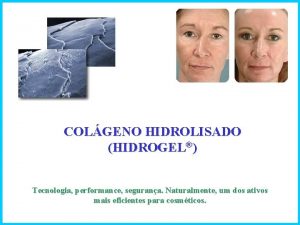 COLGENO HIDROLISADO HIDROGEL Tecnologia performance segurana Naturalmente um