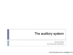 The auditory system Romain Brette Ecole Normale Suprieure