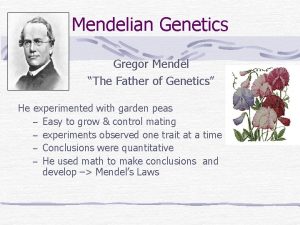 Mendelian Genetics Gregor Mendel The Father of Genetics