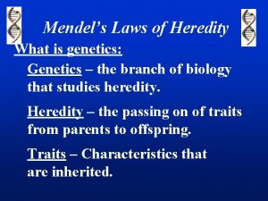Mendels Laws of Heredity What is genetics Genetics