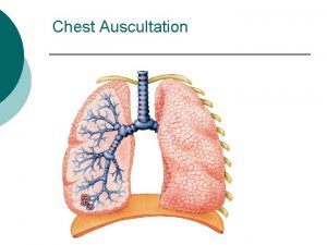 Chest assessment