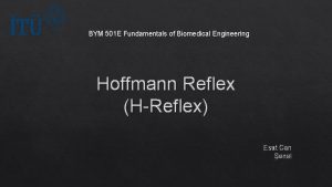 BYM 501 E Fundamentals of Biomedical Engineering Hoffmann