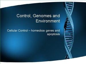 Control Genomes and Environment Cellular Control homeobox genes