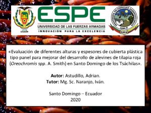 Evaluacin de diferentes alturas y espesores de cubierta