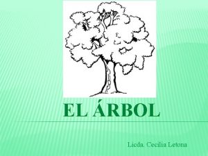 EL RBOL Licda Cecilia Letona REPRESENTA LA VIDA