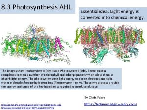 8 3 Photosynthesis AHL Essential idea Light energy