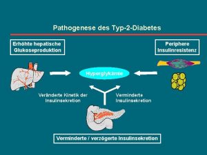 Pathogenese des Typ2 Diabetes Erhhte hepatische Glukoseproduktion Periphere