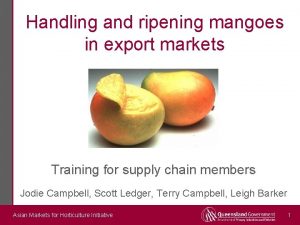 Handling and ripening mangoes in export markets Training