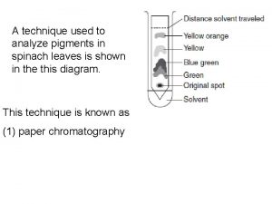 Light microscope