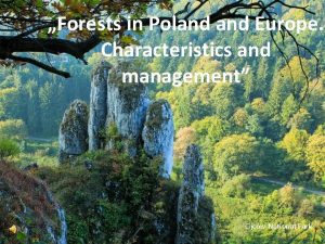Forests in Poland Europe Characteristics and management Ojcw