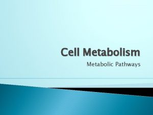 Alternative metabolic pathways