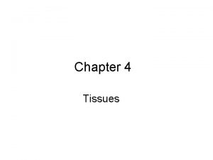 Chapter 4 Tissues Organization of Tissues Types There