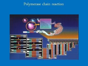 Polymerase chain reaction What is PCR PCR Polymerase