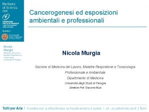 Cancerogenesi ed esposizioni ambientali e professionali Nicola Murgia