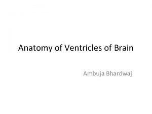 Anatomy of Ventricles of Brain Ambuja Bhardwaj Overview