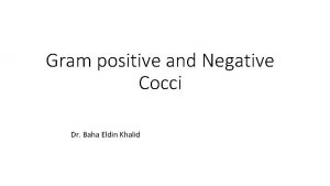 Gram positive and Negative Cocci Dr Baha Eldin