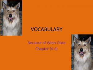VOCABULARY Because of WinnDixie Chapter 4 6 constellations
