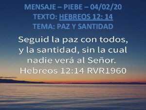 Seguid la paz con todos