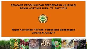 RENCANA PRODUKSI DAN PERCEPATAN HILIRISASI BENIH HORTIKULTURA TA