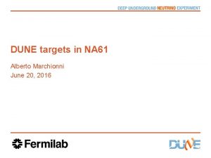 DUNE targets in NA 61 Alberto Marchionni June