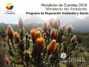 Rendicin de Cuentas 2016 Ministerio del Ambiente Programa