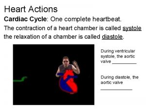 Heart Actions Cardiac Cycle One complete heartbeat The